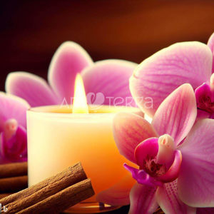 Imagen de ORQUIDEAS Y VAINILLA 250GR