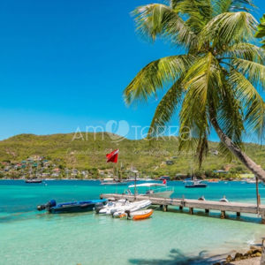Imagen de BEQUIA 250gr