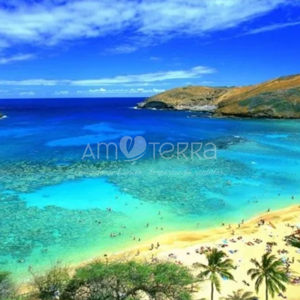 Imagen de MAUI 250gr