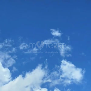 Imagen de AIRE 100 GRS