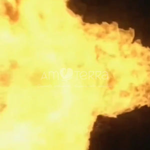 Imagen de FUEGO 100GRS