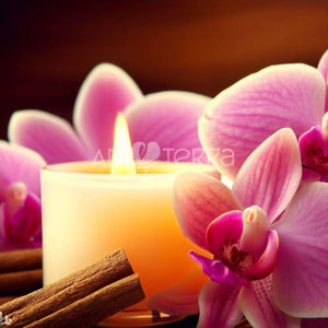Imagen de ORQUIDEAS Y VAINILLA 100GR