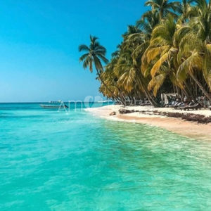 Imagen de SAONA 100gr