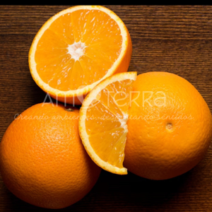 Imagen de ESENCIA NARANJA 500GRS