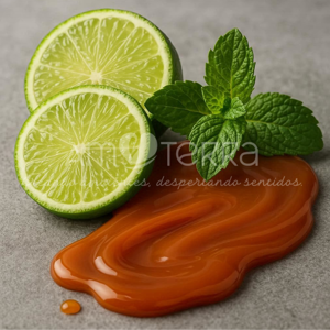Imagen de LIMA, MENTA Y CARAMELO 100grs