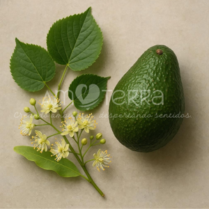 Imagen de FLORES DE TILO Y PALTA 250GR