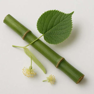 Imagen de TILO BAMBU 250GRS