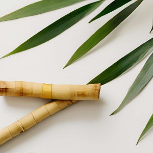 Imagen de BAMBU Y JENGIBRE 250 GRS