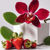 Imagen de ORQUIDEAS ROJAS Y FRUTILLA 100 GRS