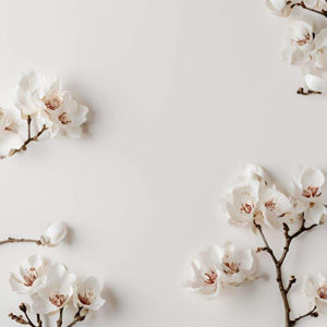 Imagen de SAI BABA 100 GRS