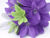 Imagen de ROSALIT 250 GRS
