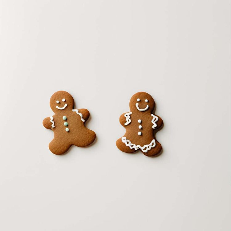Imagen de GALLETA DE JENGIBRE 100 GRS