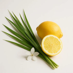 Imagen de LEMONGRASS 100 GRS