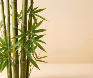 Imagen de BOSQUE DE BAMBU 100 GRS