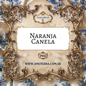 Imagen de NARANJA CANELA - V 100 GRS