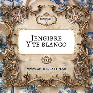 Imagen de JENGIBRE Y TE BLANCO - V 100 GRS