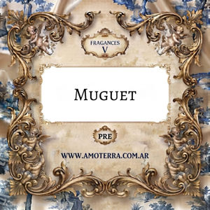 Imagen de MUGUET - V 100 GRS