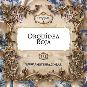 Imagen de ORQUIDEA ROJA - V 100 GRS